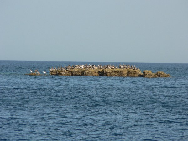 21- Rocher surpeuple 